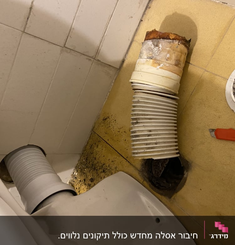 צינור שירותים מנותק, סכין יפנית על הרצפה